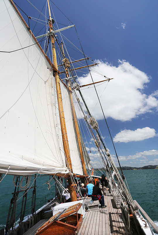 Sail on the R Tucker Thompson, Bay of Islands, NZ